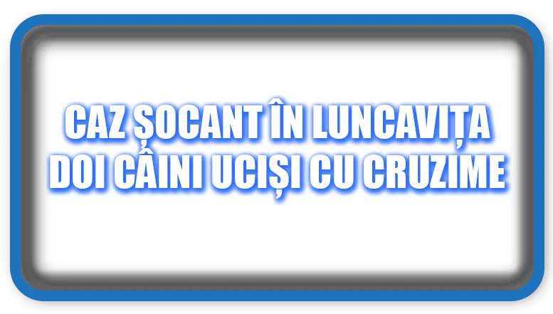 Câini Uciși