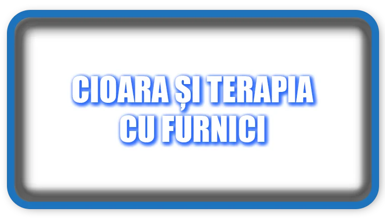 Cioara și terapia cu furnici