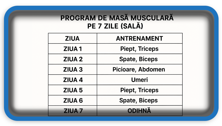 Program de Masă Musculară pe 7 Zile (Sală)