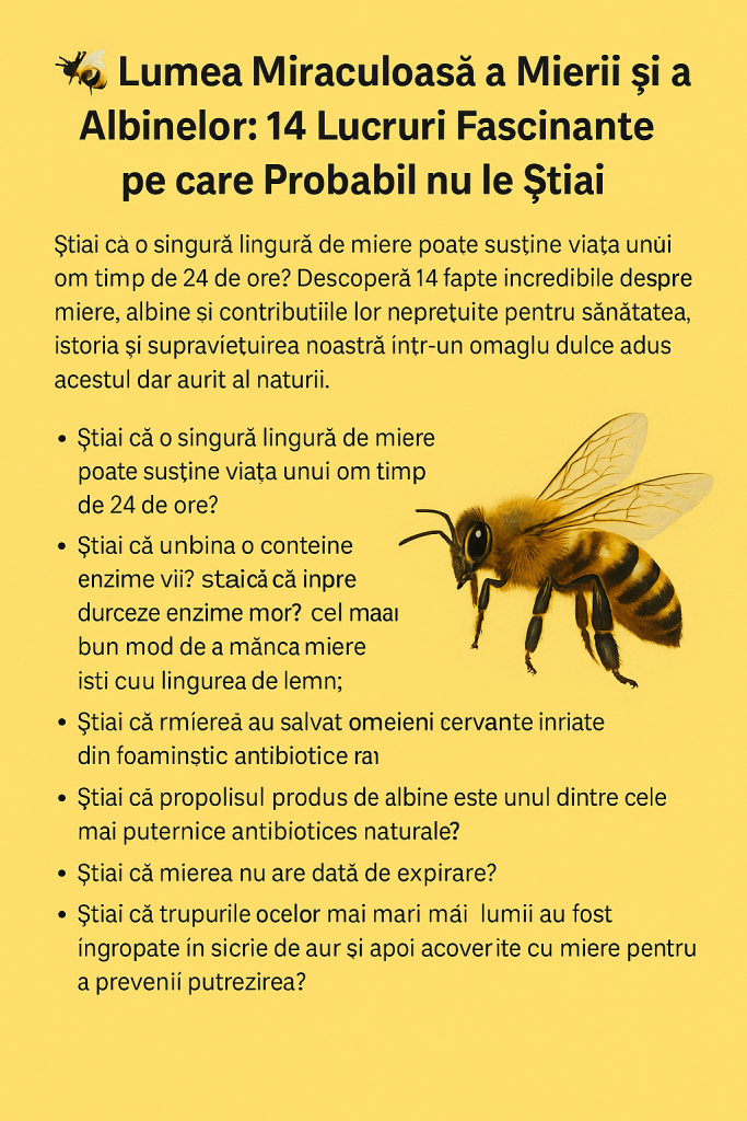 Lucruri Fascinante pe care Probabil nu le Știai Despre Albine