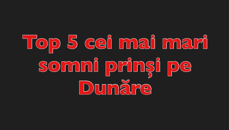Top 5 cei mai mari somni prinși pe Dunăre